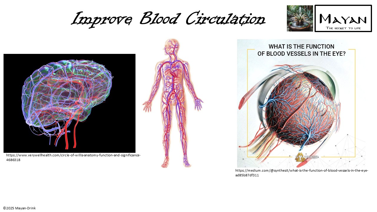 Slide 6