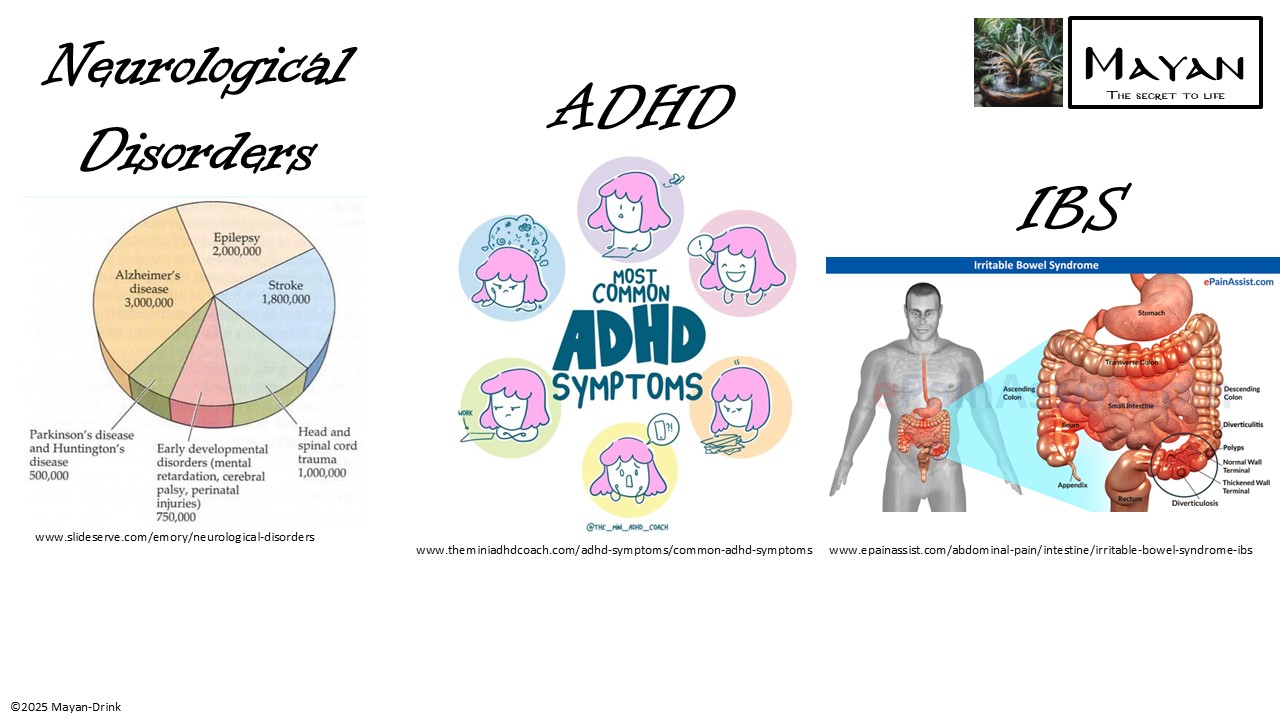 Slide 7